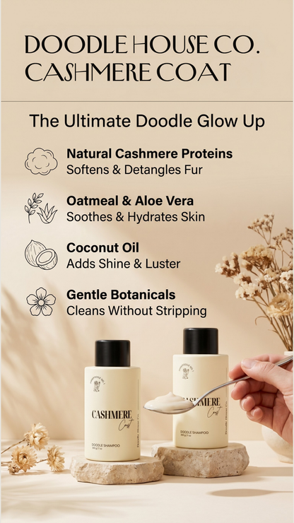 Cashmere Coast Shampoo