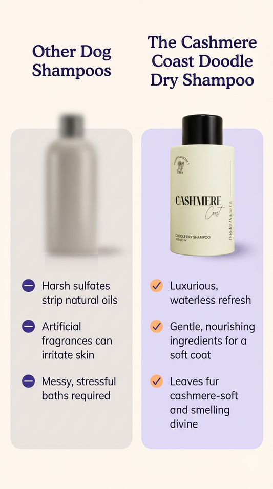 image (3).png__PID:d708569e-f6e7-45e0-81b7-d7a0c70d38a2